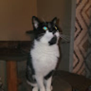 Meet your Posher, Casie